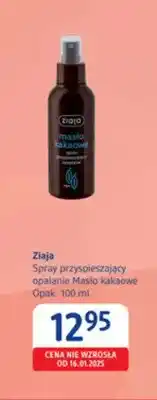 dm drogerie markt Spray przyspieszający opalanie Masło kakaowe Ziaja oferta