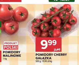 Stokrotka Pomidory cherry gałązka oferta