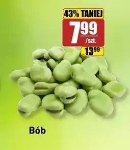 API MARKET Bób oferta