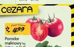 Cezar Delikatesy Pomidor malinowy oferta