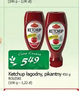 Cezar Delikatesy Ketchup pikantny Roleski oferta