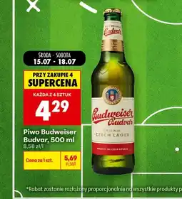 Biedronka Piwo Budweiser oferta
