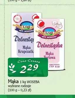 Cezar Delikatesy Mąka Dolnośląska Tortowa Młyn Jaczkowice oferta