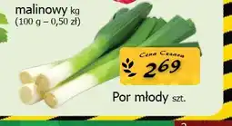 Cezar Delikatesy Por młody oferta