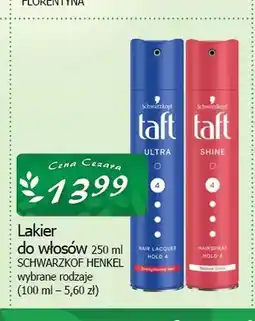 Cezar Delikatesy Lakier do włosów Taft Ultra oferta