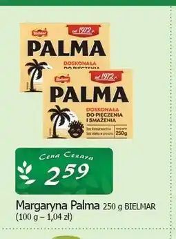 Cezar Delikatesy Margaryna Palma Bielmar oferta