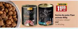 API MARKET Karma dla psów Piper Adult z jagnięciną oferta
