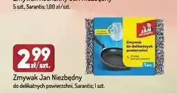 Avita Zmywak do delikatnych powierzchni Jan Niezbędny oferta