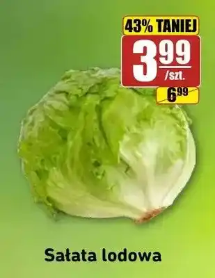 API MARKET Sałata lodowa oferta