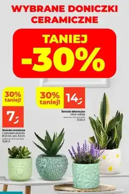 Dealz Doniczka ceramiczna z motywem pszczoły oferta