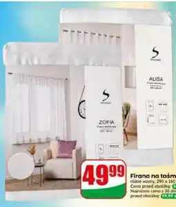 Dino Firana na taśmie na kółkach Splendid Alisa 290x160 cm oferta