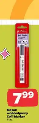 Netto Mazak wodoodporny Colli Marker Herlitz oferta