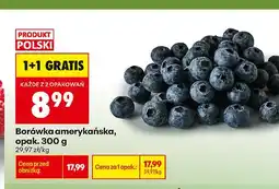 Biedronka Borówka amerykańska oferta