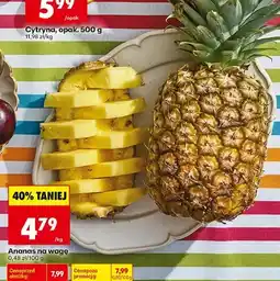 Biedronka Ananas na wagę oferta