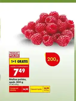 Biedronka Malina polska oferta