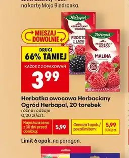 Biedronka Herbatka owocowa Herbaciany Ogród Herbapol Malina oferta