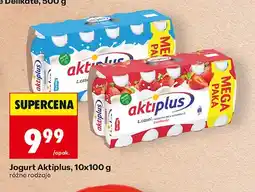 Biedronka Jogurt klasyczny Aktiplus oferta