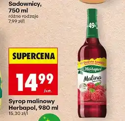Biedronka Syrop malinowy Herbapol oferta