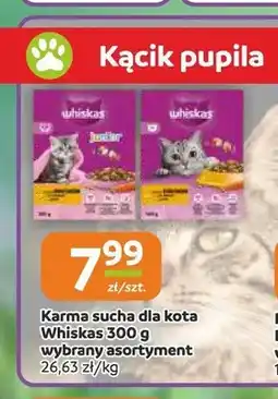 Gama Karma sucha dla kota Whiskas Junior oferta
