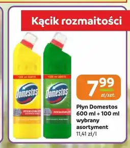 Gama Płyn do WC Domestos Leśny oferta