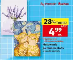 Auchan Malowanie po numerkach koty Auchan oferta