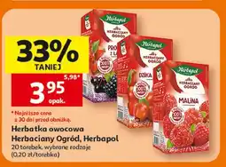 Auchan Herbata prosto z lasu Herbapol Herbaciany Ogród oferta
