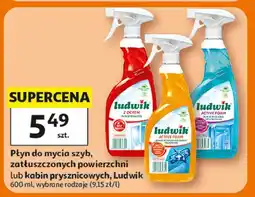 Auchan Płyn do mycia kabin prysznicowych active foam floral violet Ludwik oferta