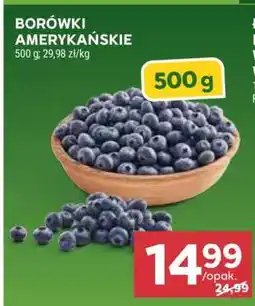 Stokrotka Market Borówki amerykańskie oferta