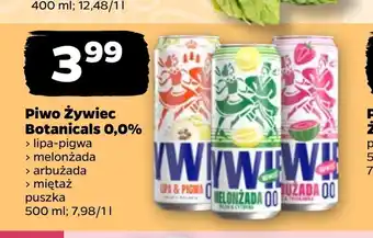 Netto Piwo Żywiec oferta