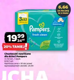 Netto Chusteczki nawilżane Pampers oferta