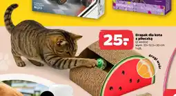 Netto Drapak dla kota oferta