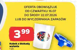 Netto Kubek oferta