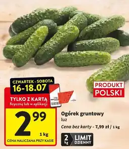 Intermarche Ogórek gruntowy luz polski oferta