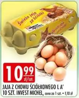 Sklepy Doroty Jaja z chowu ściółkowego L A' oferta