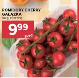Stokrotka Pomidory Cherry Gałązka oferta