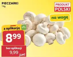 Stokrotka Pieczarki oferta