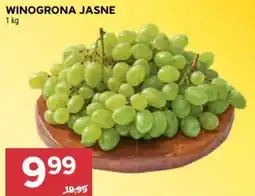 Stokrotka Winogrona Jasne oferta