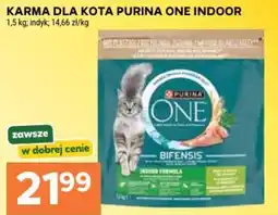 Stokrotka Karma dla kota Purina One Indoor oferta