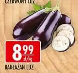 Sklepy Doroty Bakłażan Luz oferta