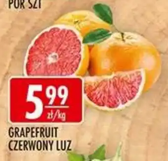 Sklepy Doroty Grapefruit Czerwony Luz oferta