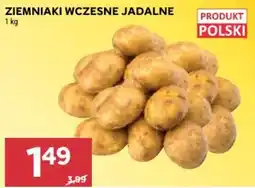 Stokrotka Ziemniaki Wczesne Jadalone oferta