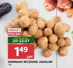 Stokrotka Ziemniaki Wczesne Jadalone oferta