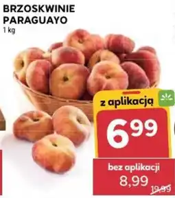 Stokrotka Brzoskwinie Paraguayo oferta