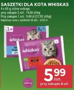 Stokrotka Saszetki dla kota Whiskas oferta