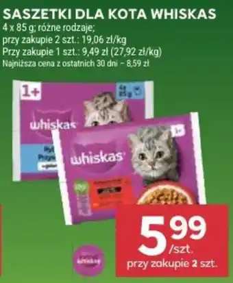 Stokrotka Saszetki dla kota Whiskas oferta