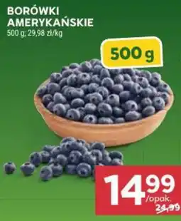 Stokrotka Borówki Amerykańskie oferta