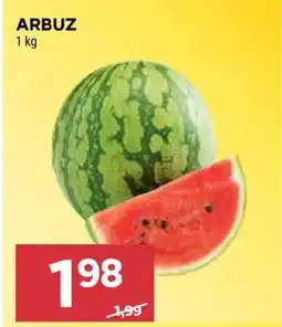 Stokrotka Market Arbuz oferta