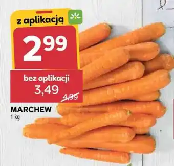 Stokrotka Market Marchew oferta