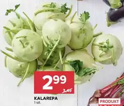 Stokrotka Market Kalarepa oferta