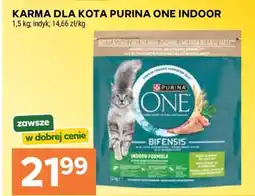 Stokrotka Market Karma dla kota Purina One Indoor oferta